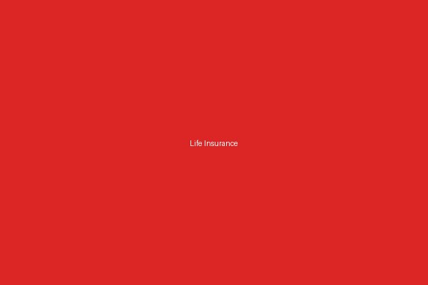 Aditya Birla Term & Life Insurance